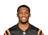 Tee Higgins
