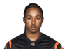 Marco Wilson